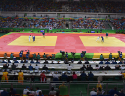 比赛型柔道场地Competition Judo Platform