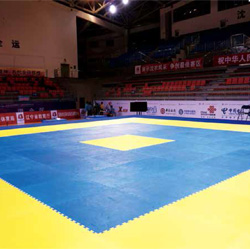 跆拳道垫Taekwondo Mat