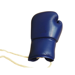 拳击手套 Boxing Glove 1